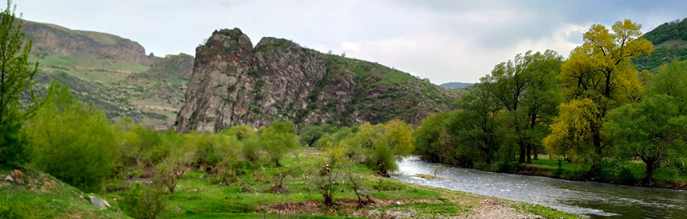 ԱՐԵՎԱԾԱԳԻ ՁՈՐ